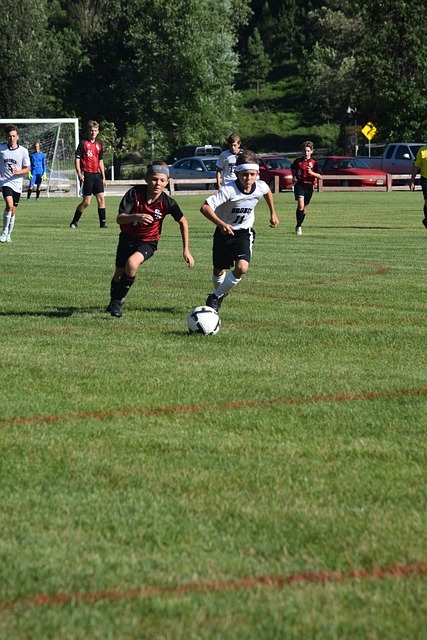 我们会发现 我们会发现