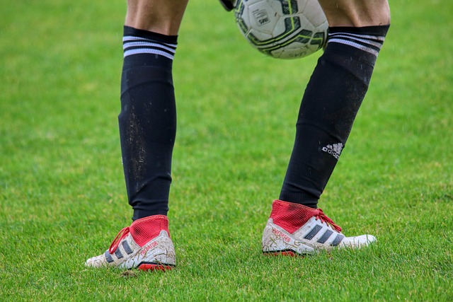 更是球迷情 更是球迷情