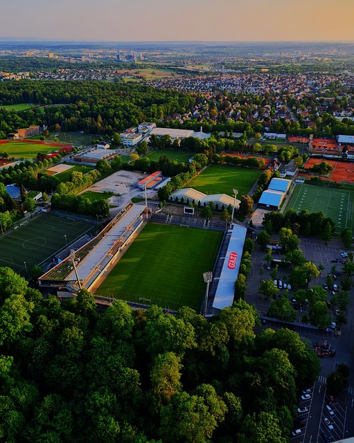 方能领会其 方能领会其