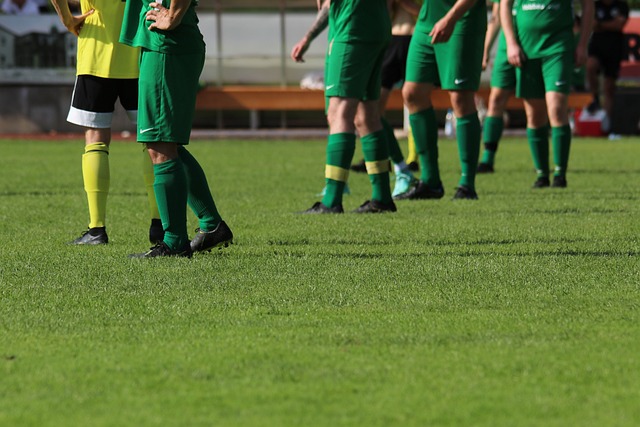 放走自己后 放走自己后