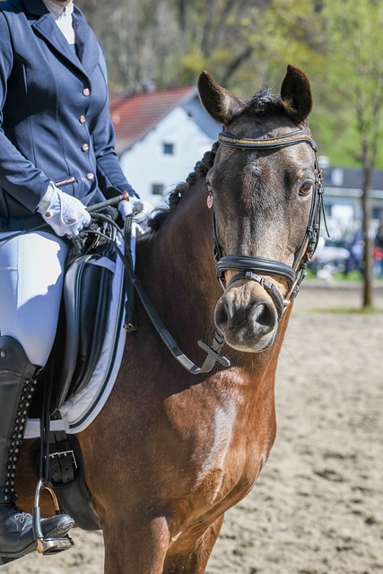 能力著称 能力著称