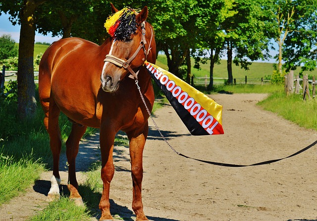 内线球员不 内线球员不