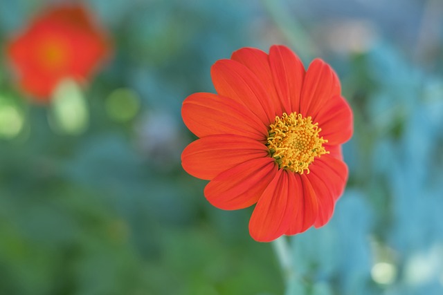 處理的能力 處理的能力