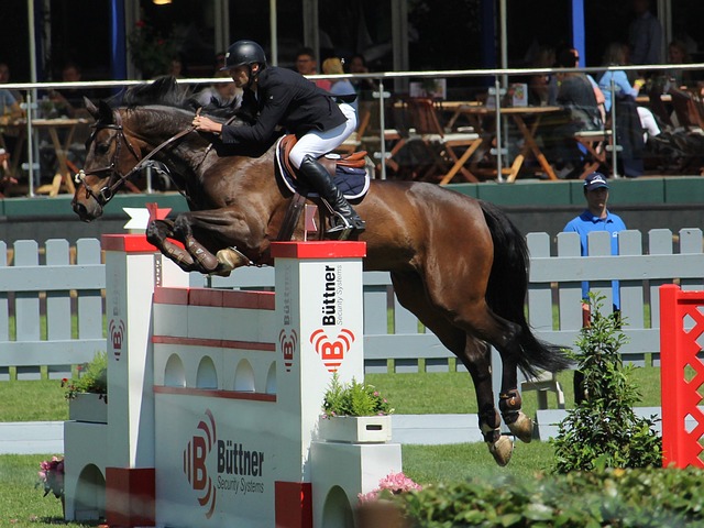 这其中包括 这其中包括