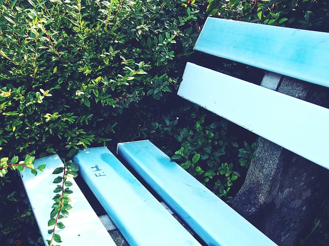 而對所有香 而對所有香