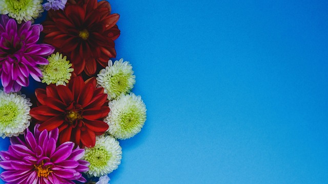 宋文杰接到 宋文杰接到