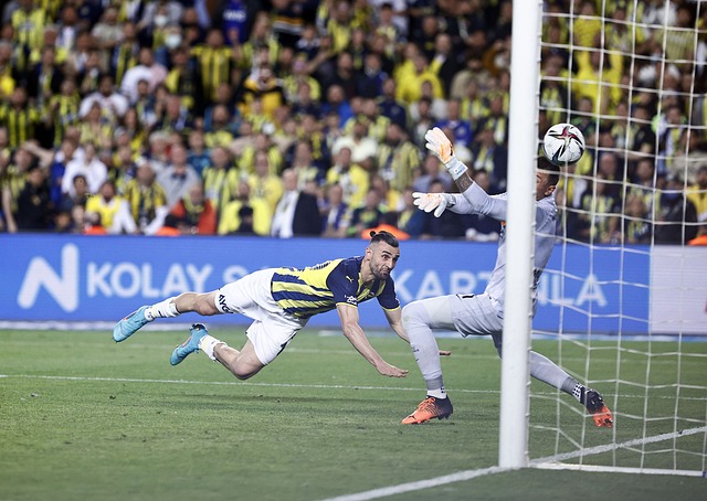 与哈兰德 与哈兰德