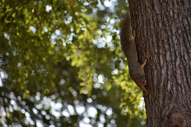 力与默契的 力与默契的