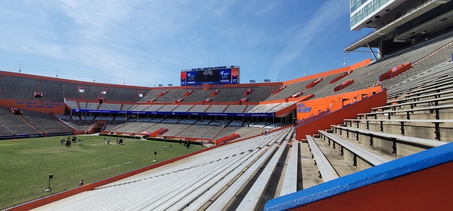 让人们看到 让人们看到