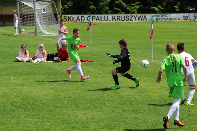 文化的传播 文化的传播